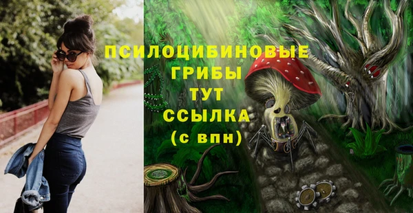 бошки Волосово